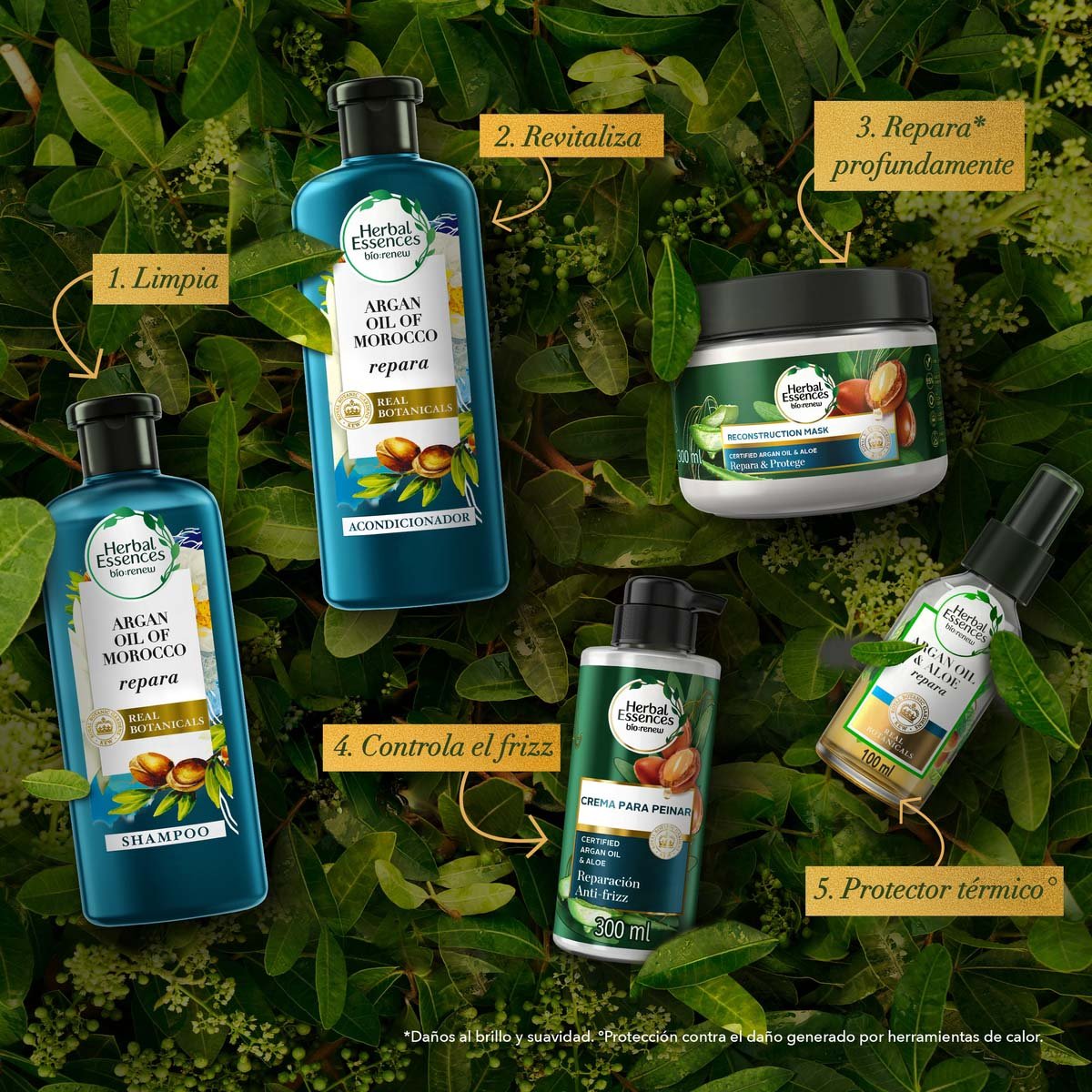 Herbal Essences B&iacute;o:renew Crema Para Peinar Argan Oil & Aloe 300 Ml image number null