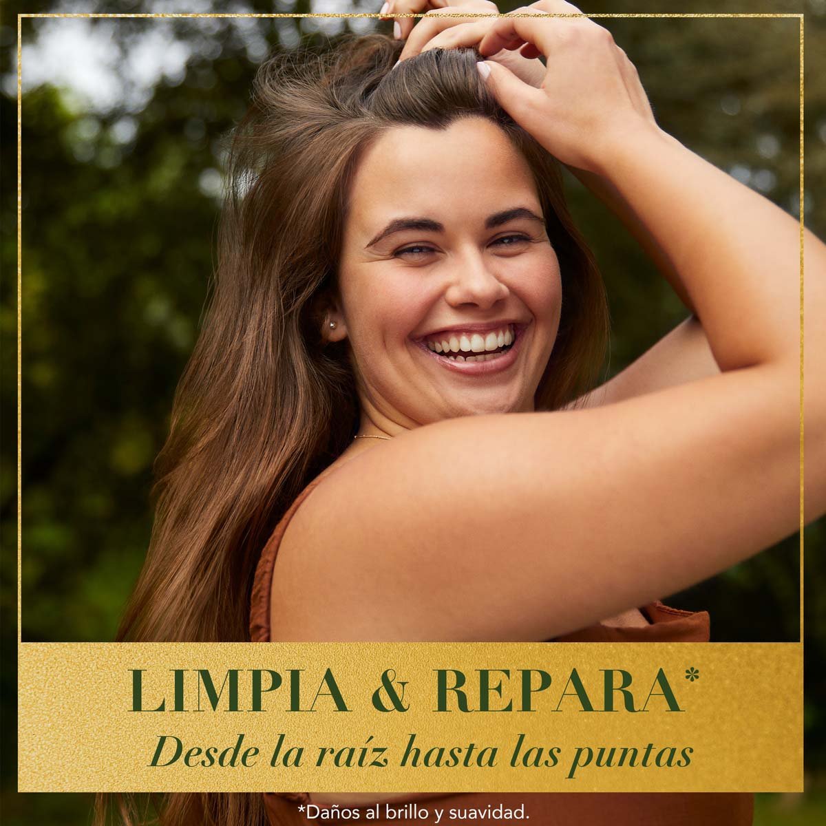 Herbal Essences Shampoo Bio:renew Argan Oil Of Morocco 400 Ml image number null