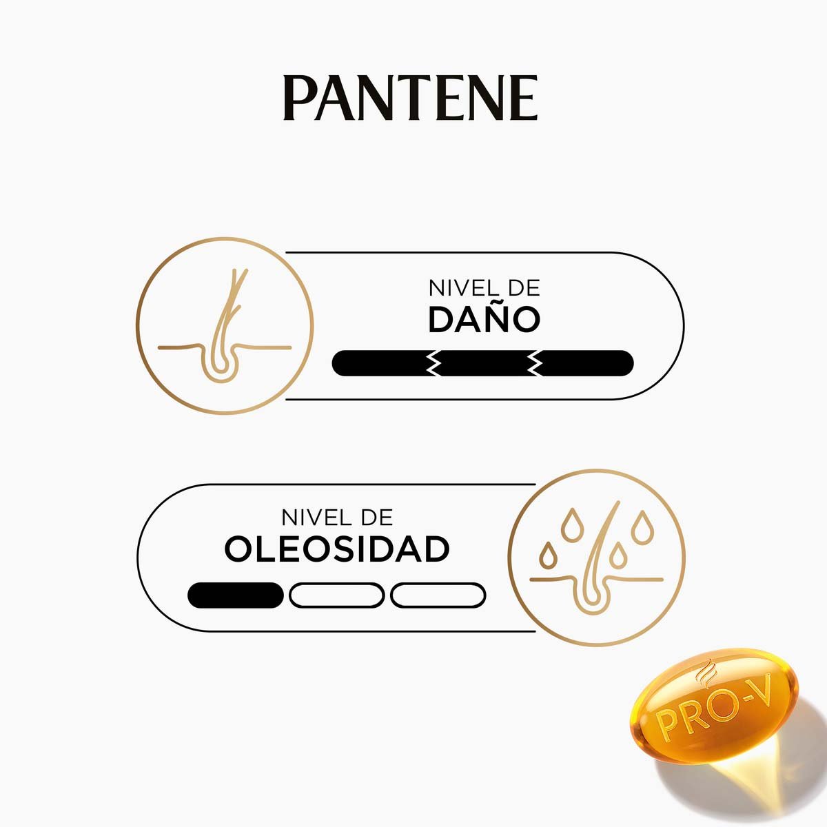 Pantene Shampoo 2 En 1 Restauraci&oacute;n 400ml image number null