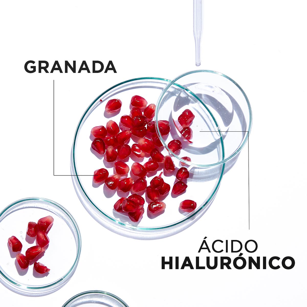 L'or&eacute;al Garnier Skin Active Hidra Bomb Mascarilla Facial Revitalizante Con Granada &Aacute;cido Hialur&oacute;nico De Origen Natural image number null