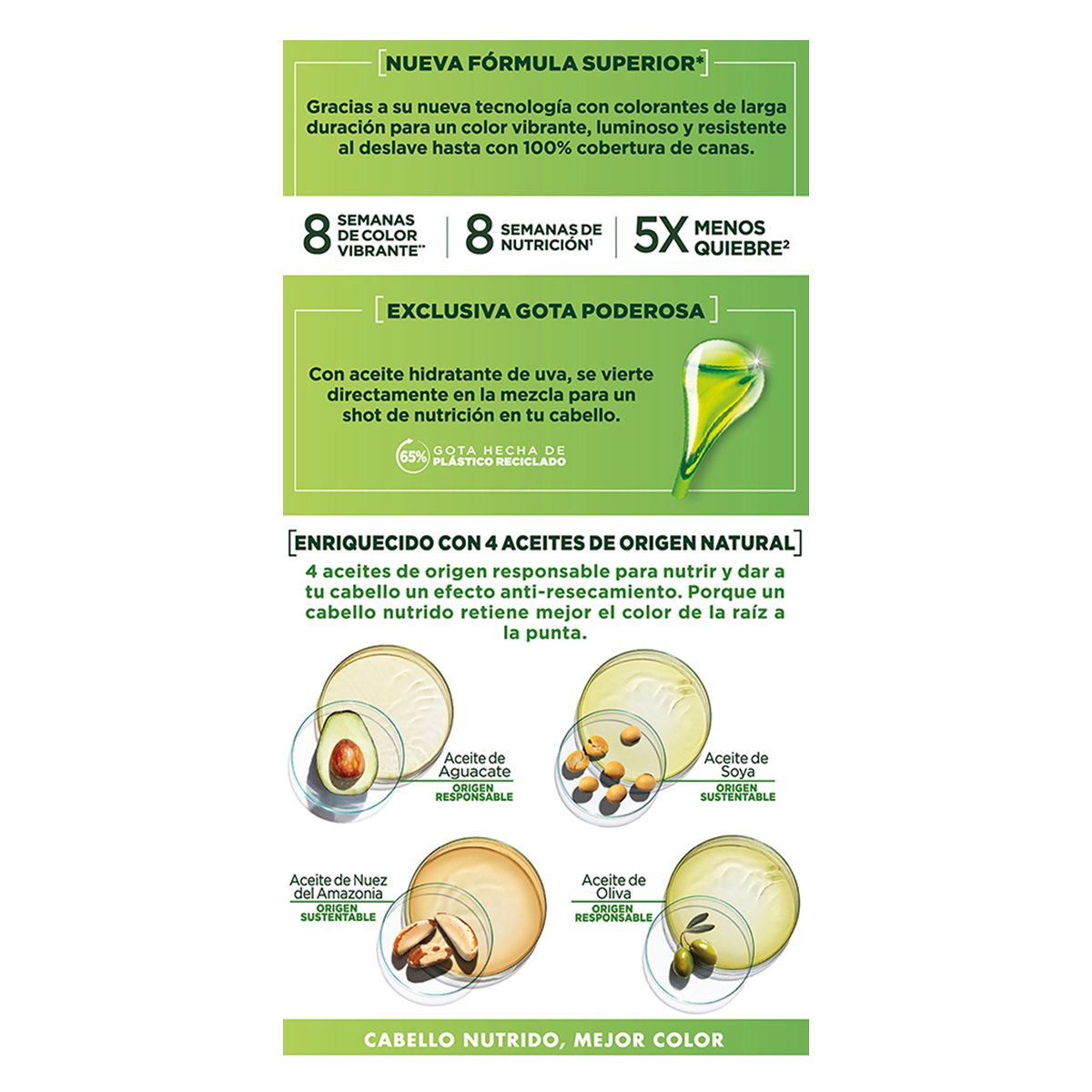 Nutrie Regular Tinte Capilar 53 Nuez Casta&ntilde;o Claro Dorado image number null