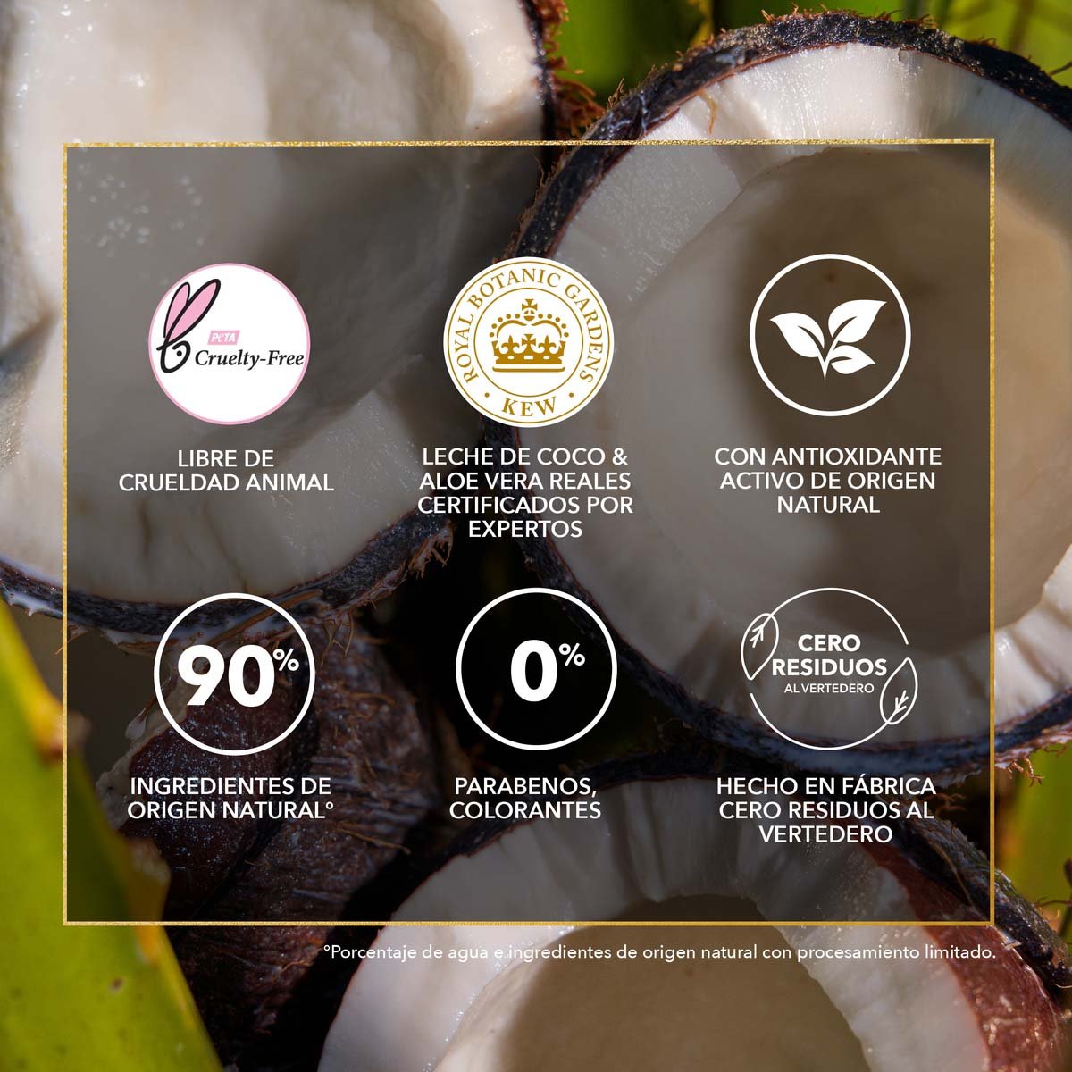 Herbal Essences Shampoo Bio: Renew Coconut Milk 400 Ml image number null