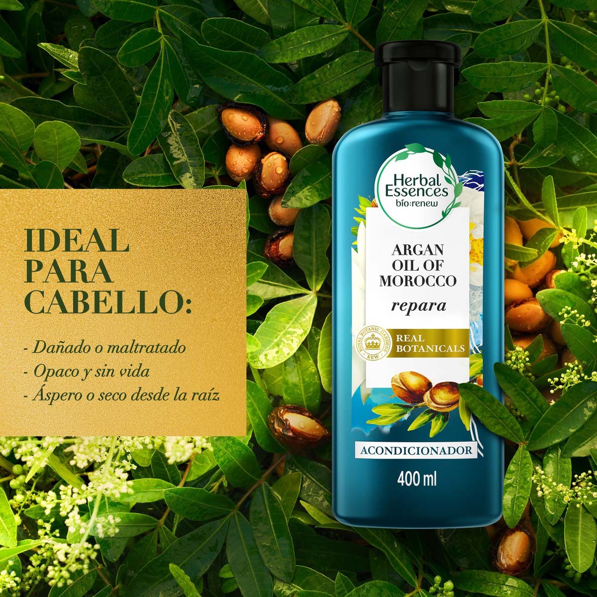 Herbal Essences Acondicionador Bio:renew Argan Oil Of Morocco 400 Ml image number null