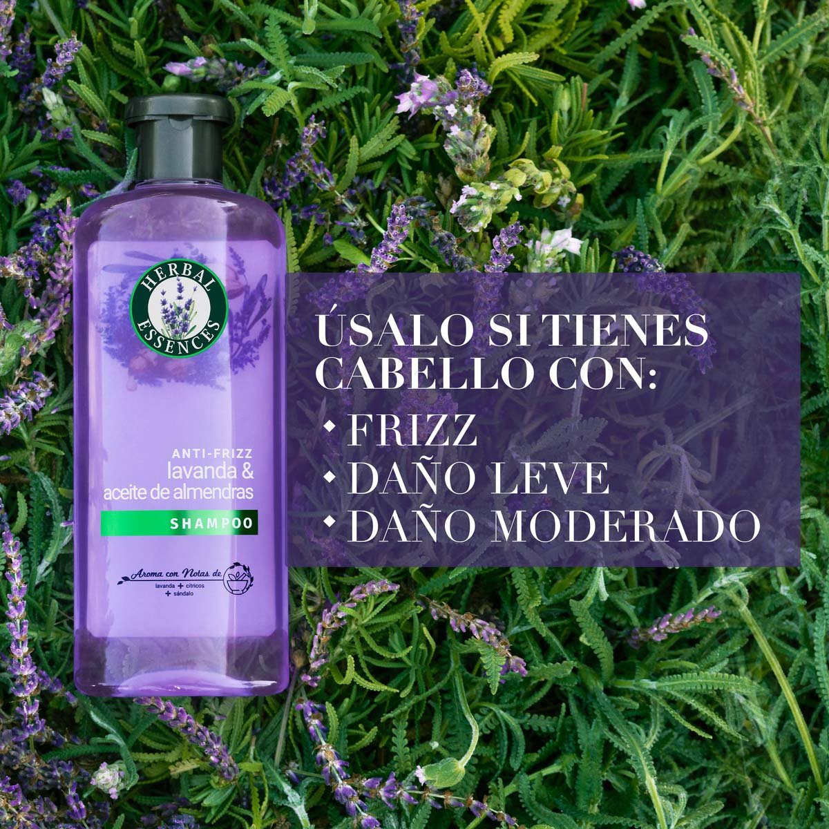 Herbal Essences Anti-frizz Lavanda & Aceite De Almendras Shampoo 400 Ml image number null