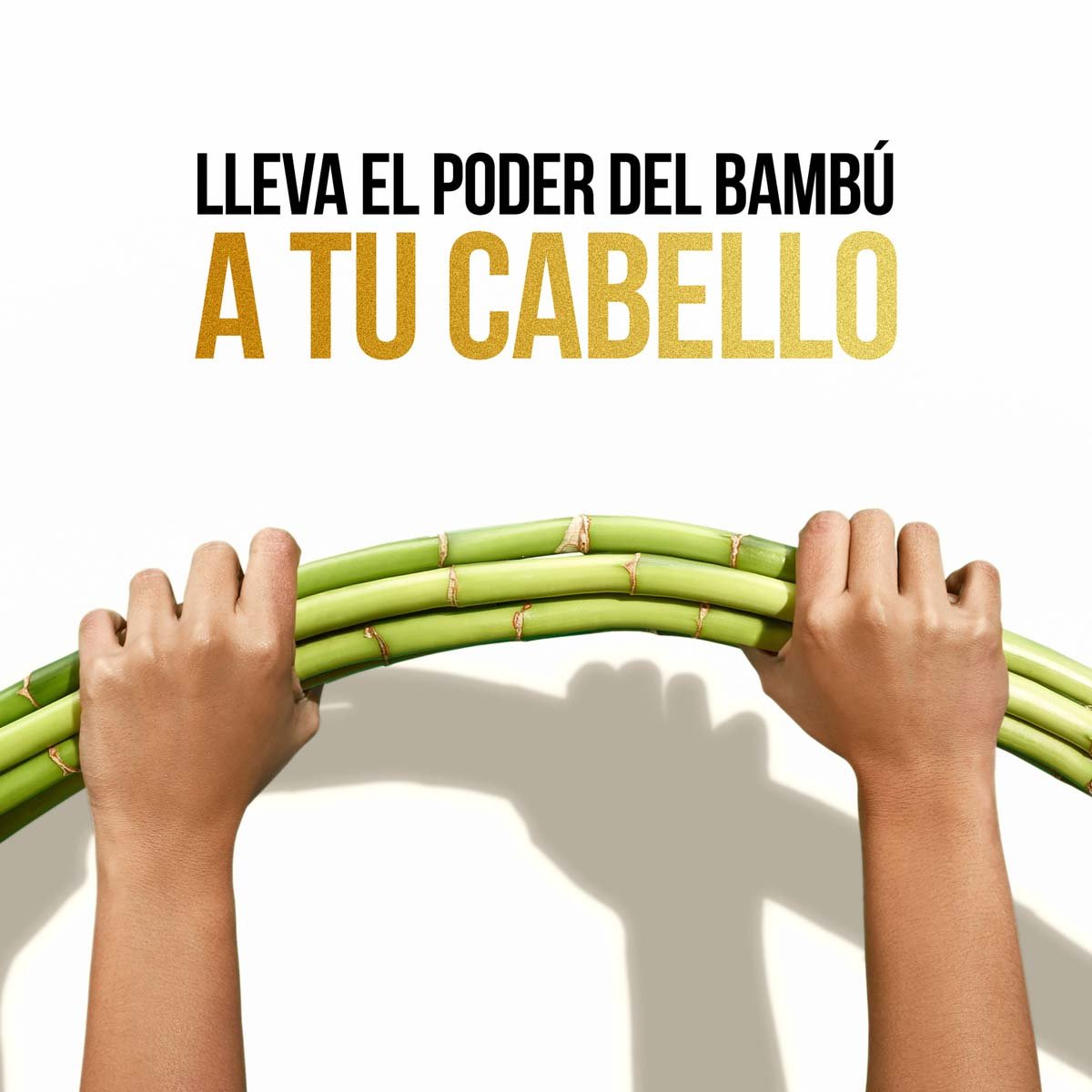 Pantene Pro-v Bamb&uacute; Nutre & Crece Acondicionador 200 Ml image number null