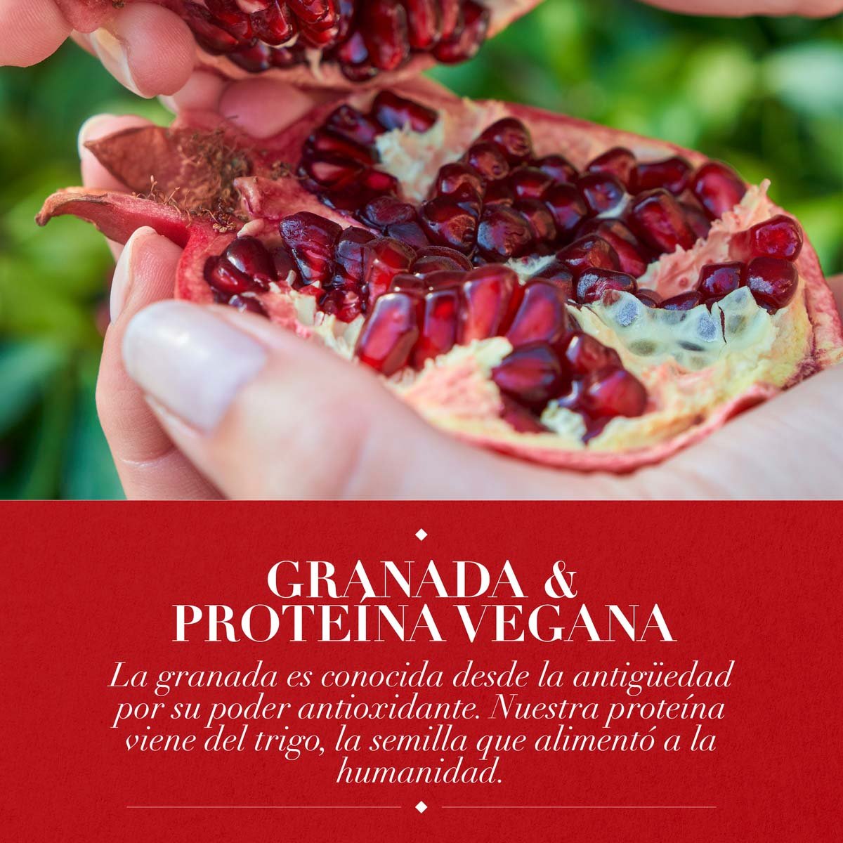 Herbal Essences Pelo Largo Granada & Prote&iacute;na Vegana Acondicionador 400 Ml image number null