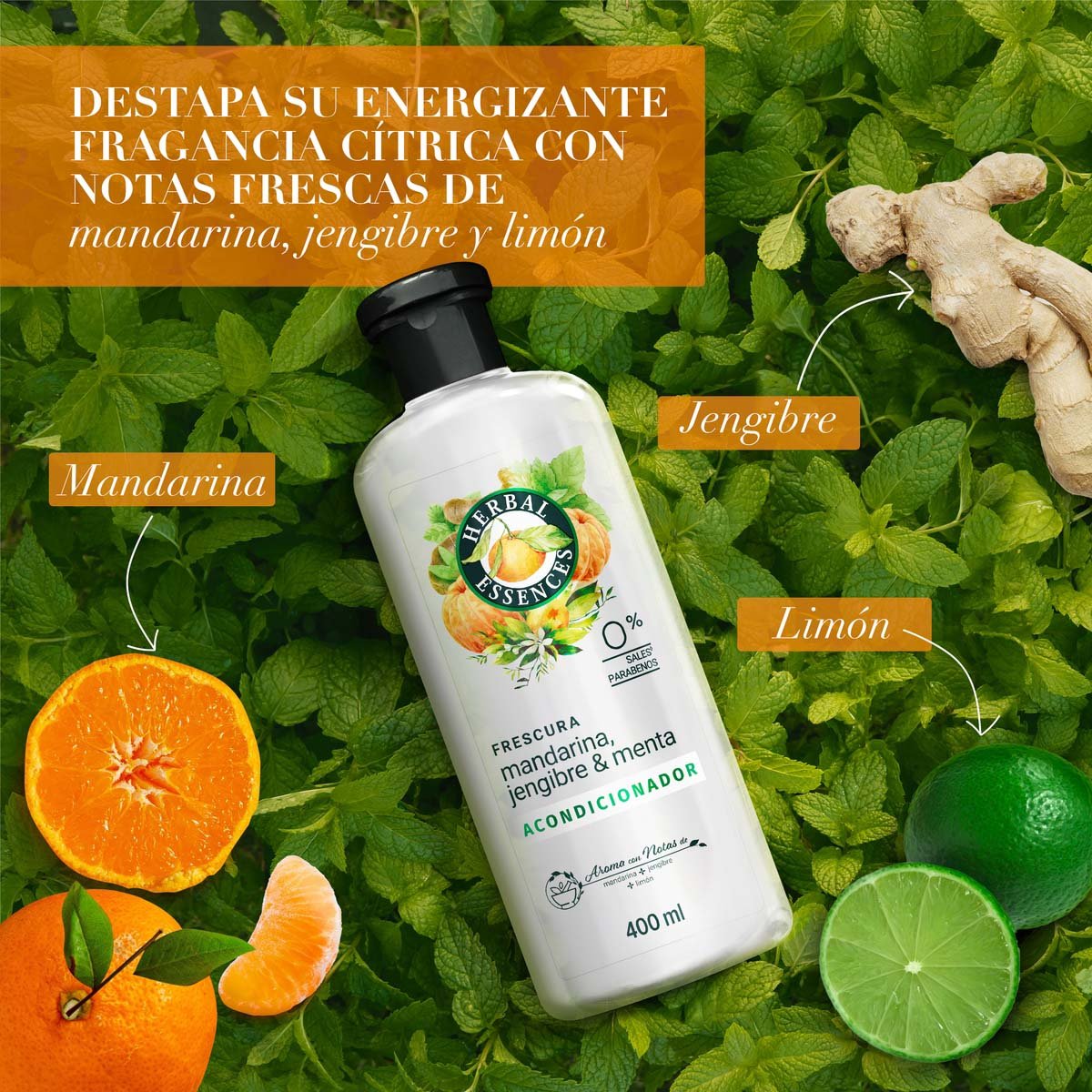 Herbal Essences Frescura Mandarina, Jengibre & Menta Acondicionador 400 Ml image number null