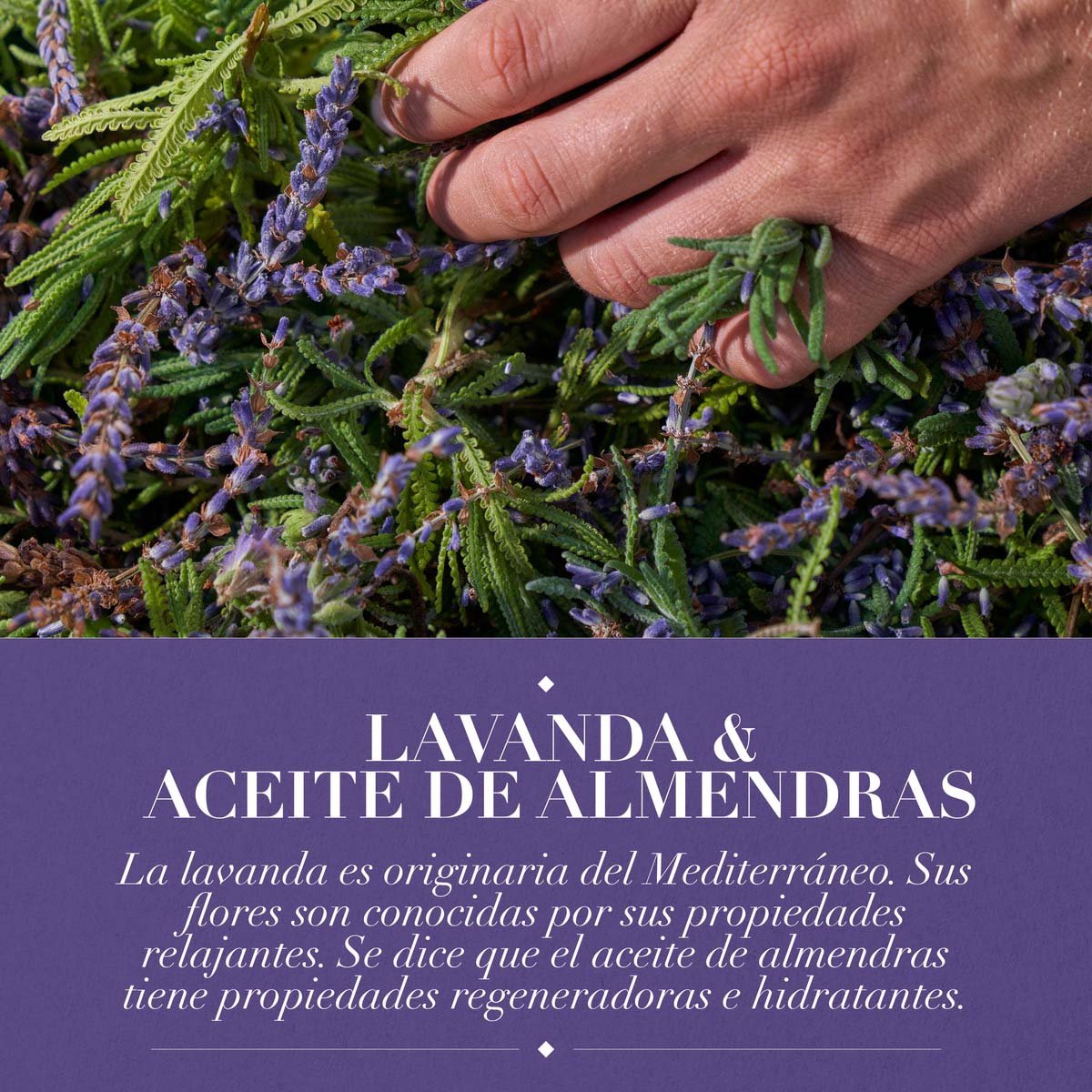 Herbal Essences Crema Para Peinar Curvas Peligrosas 285 Ml image number null