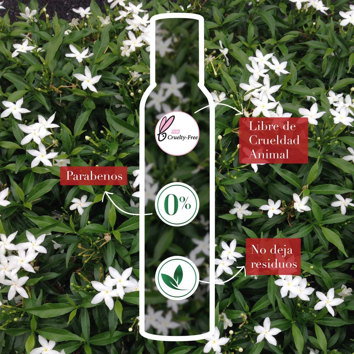 Herbal Essences Mousse Cabello Rizo 200g12 image number null