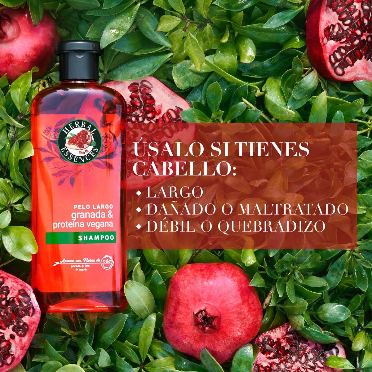 Herbal Essences Pelo Largo Granada & Prote&iacute;na Vegana Shampoo 400 Ml image number null