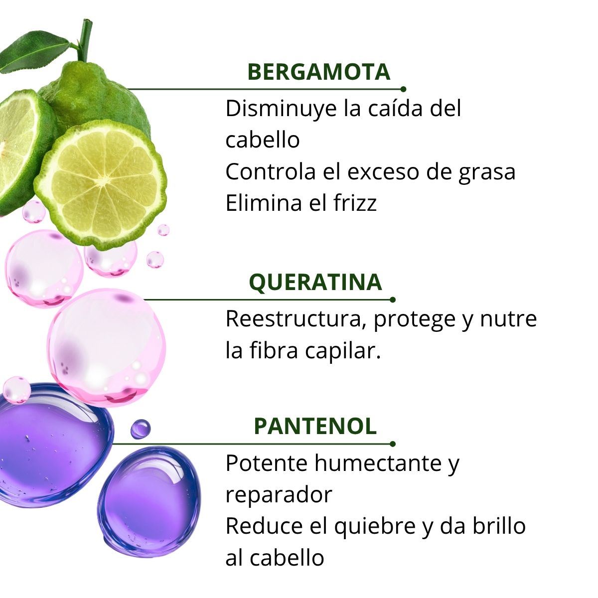 Acondicionador Bergamota y Queratina 480 Ml image number null