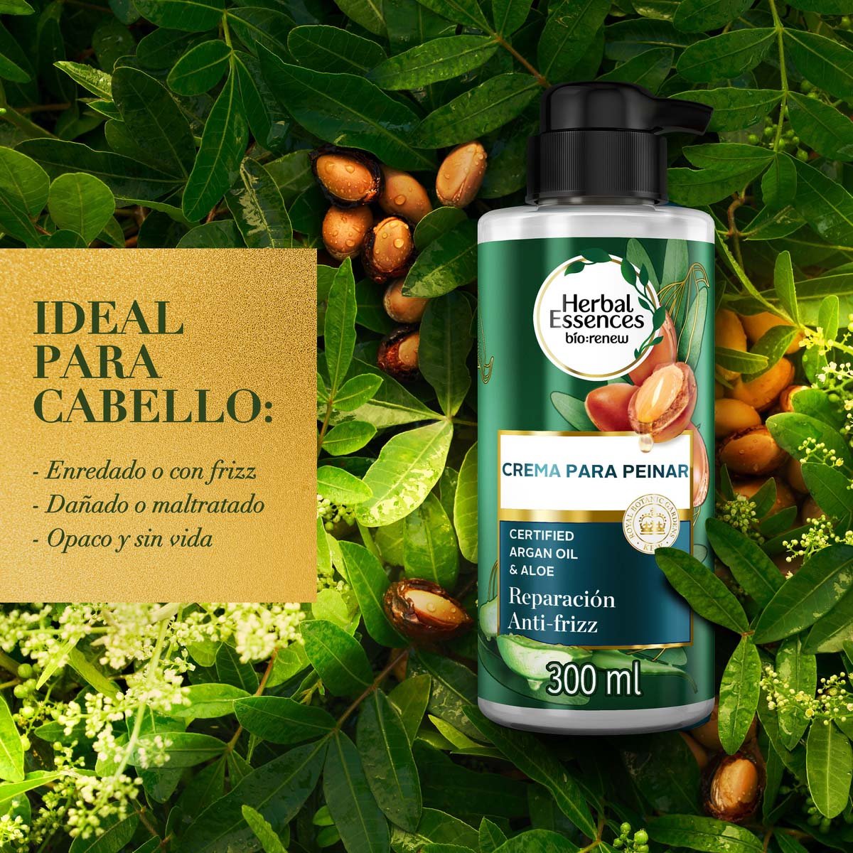 Herbal Essences B&iacute;o:renew Crema Para Peinar Argan Oil & Aloe 300 Ml image number null