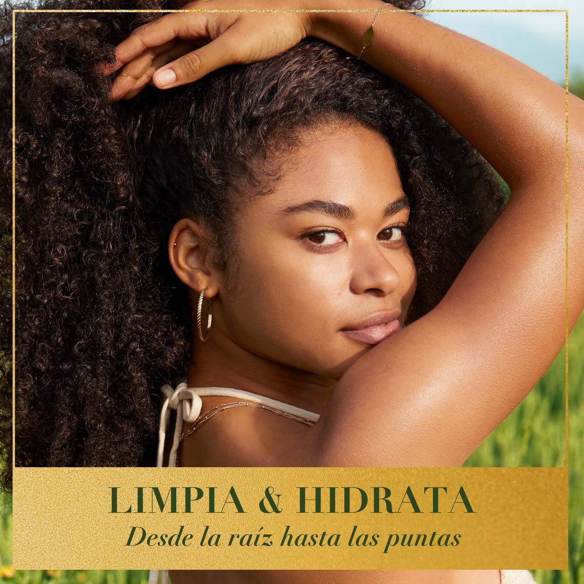 Herbal Essences Shampoo Bio: Renew Coconut Milk 400 Ml image number null