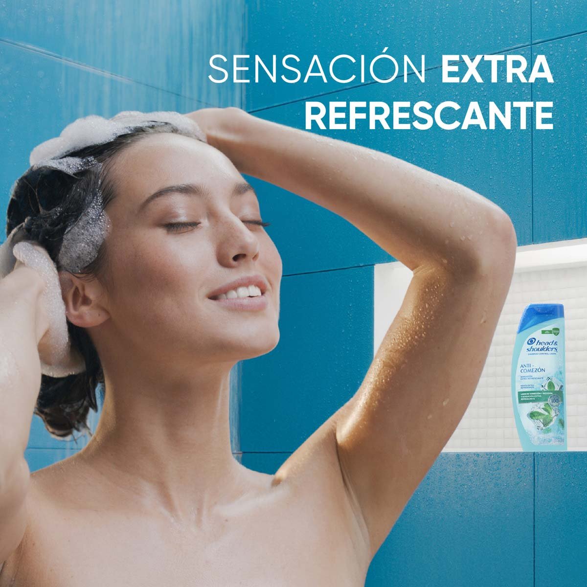 Head & Shoulders Shampoo Anticaspa Y Anticomez&oacute;n 650ml10 image number null
