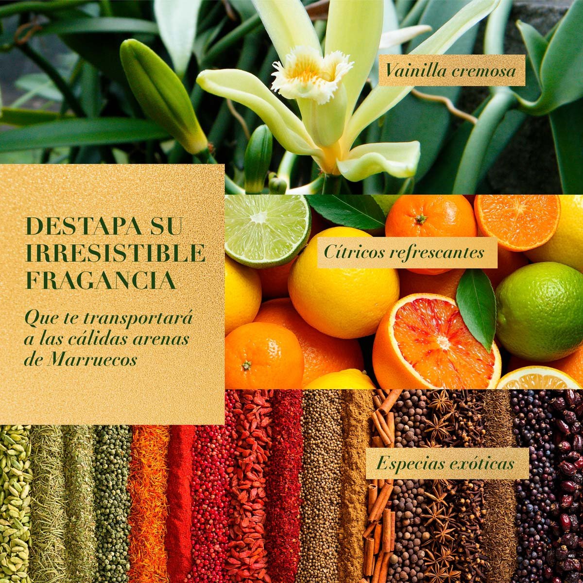 Herbal Essences Shampoo Bio:renew Argan Oil Of Morocco 400 Ml image number null