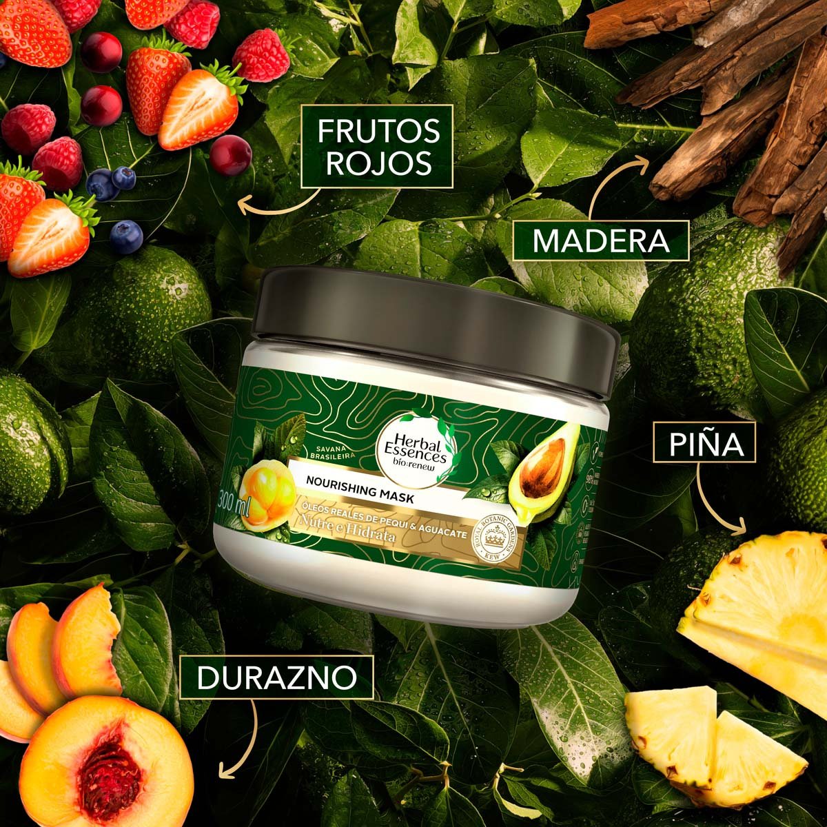 Herbal Essences Bio:renew Pequi & Aguacate Nutre E Hidrata Nourishing Mask 300 Ml image number null
