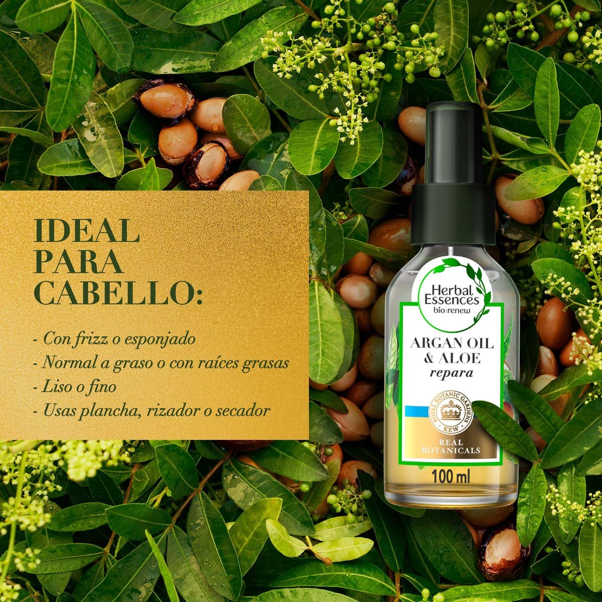 Herbal Essences Bio:renew Argan Oil & Aloe Mezcla De Aceite Para El Cabello 100 Ml image number null