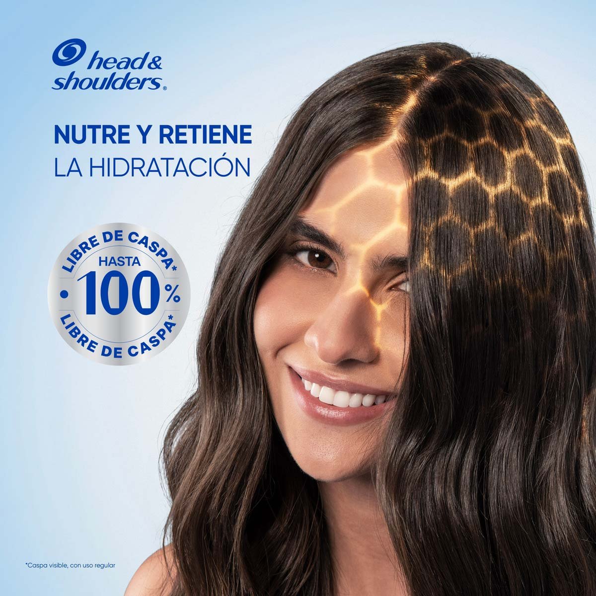 Head & Shoulders Shampoo S Anti-resequedad Nutrici&oacute;n Diaria, Miel Aceites Y Esenciales 375 Ml image number null