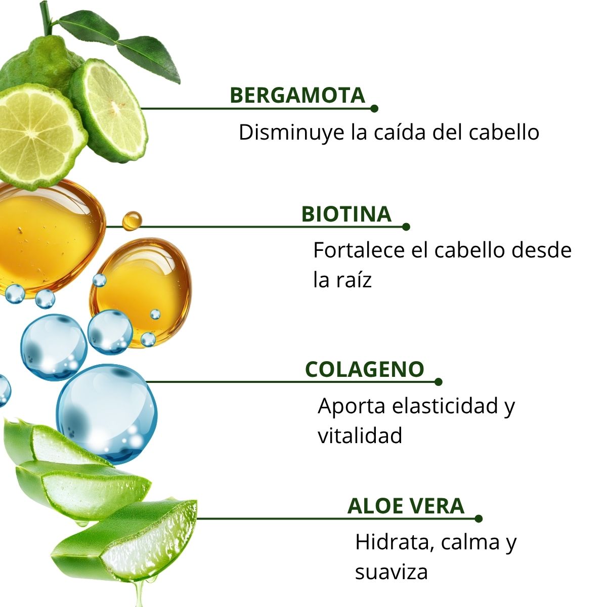 Shampoo Bergamota con Biotina, Col&aacute;geno y Aloe Vera 1 L image number null