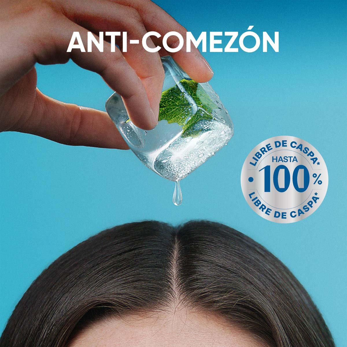 Head & Shoulders Shampoo Anticaspa Y Anticomez&oacute;n 650ml10 image number null