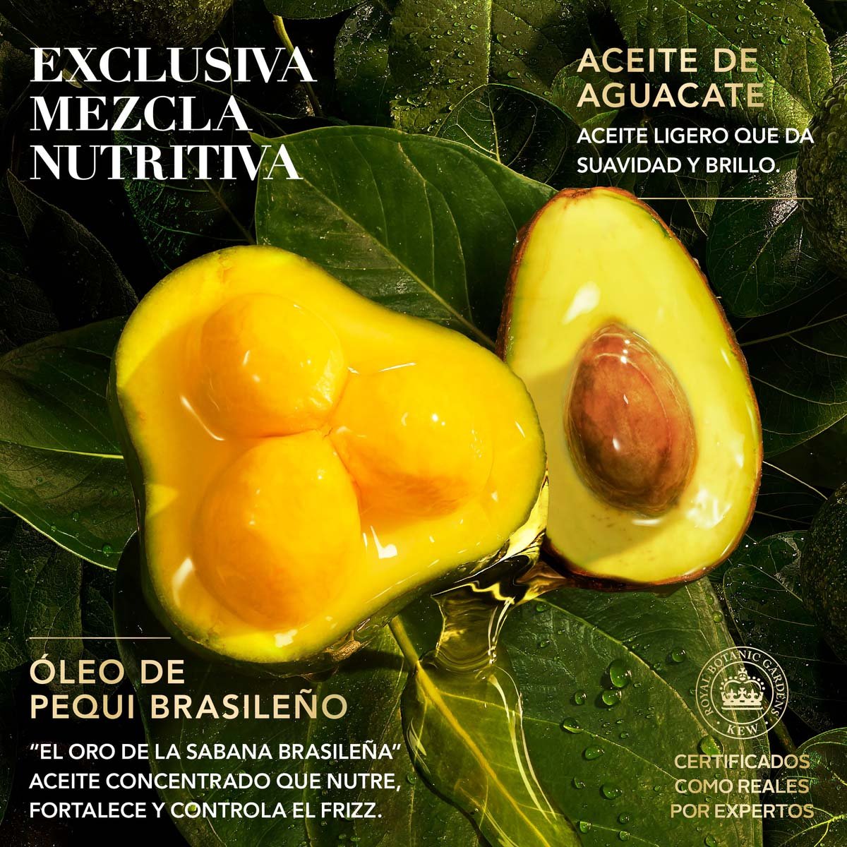 Herbal Essences Bio:renew Pequi & Aguacate Nutre E Hidrata Nourishing Mask 300 Ml image number null