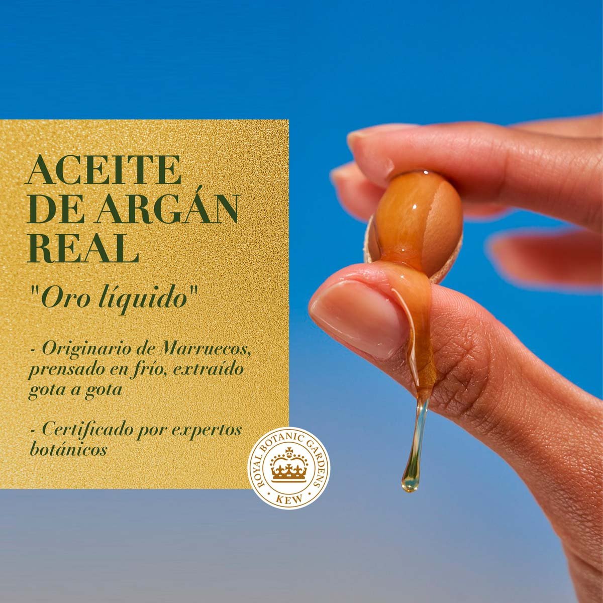 Herbal Essences Bio:renew Argan Oil & Aloe Mezcla De Aceite Para El Cabello 100 Ml image number null