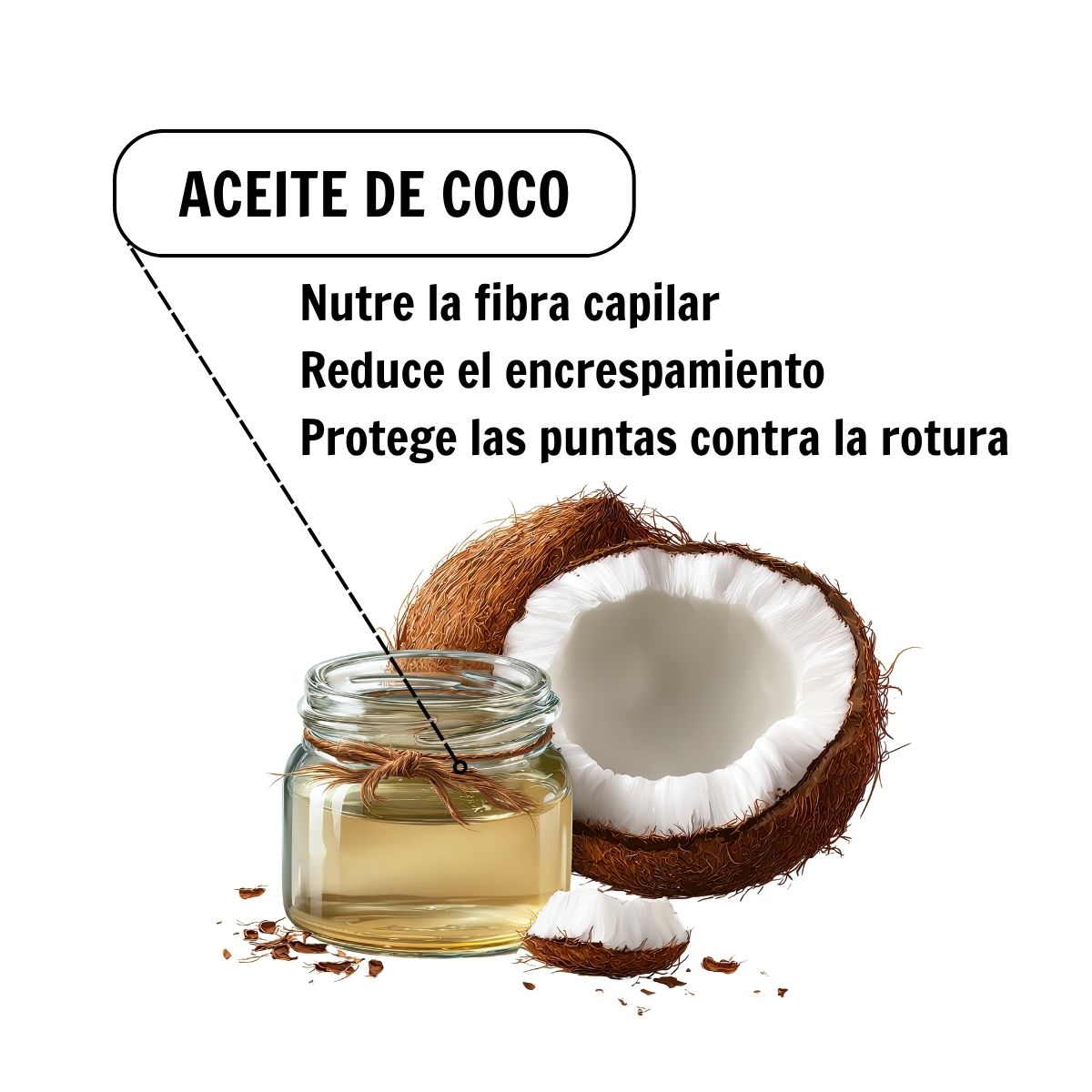 Shampoo Coco Oil con Biotina 950 Ml image number null