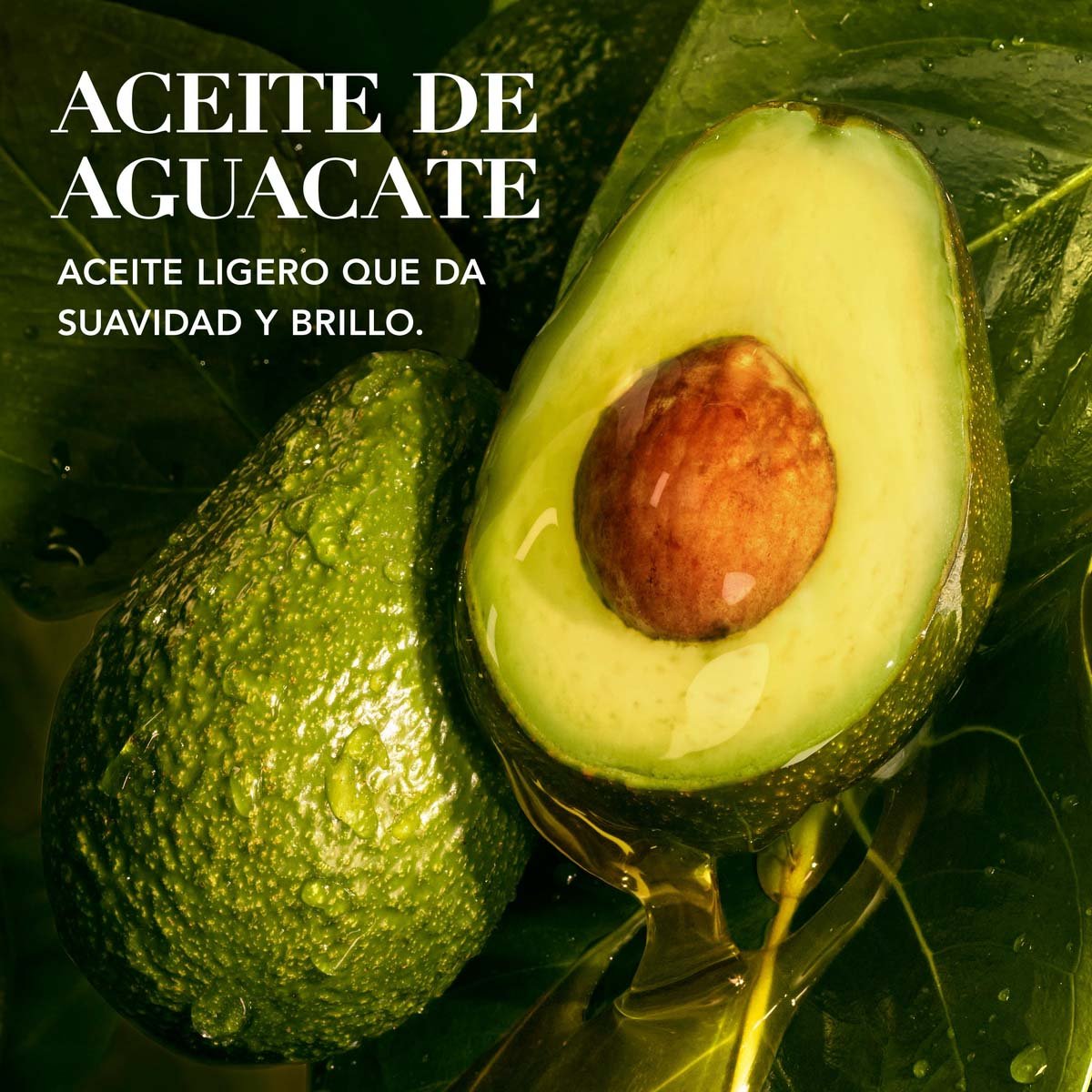 Herbal Essences Bio:renew Pequi & Aguacate Nutre E Hidrata Nourishing Mask 300 Ml image number null